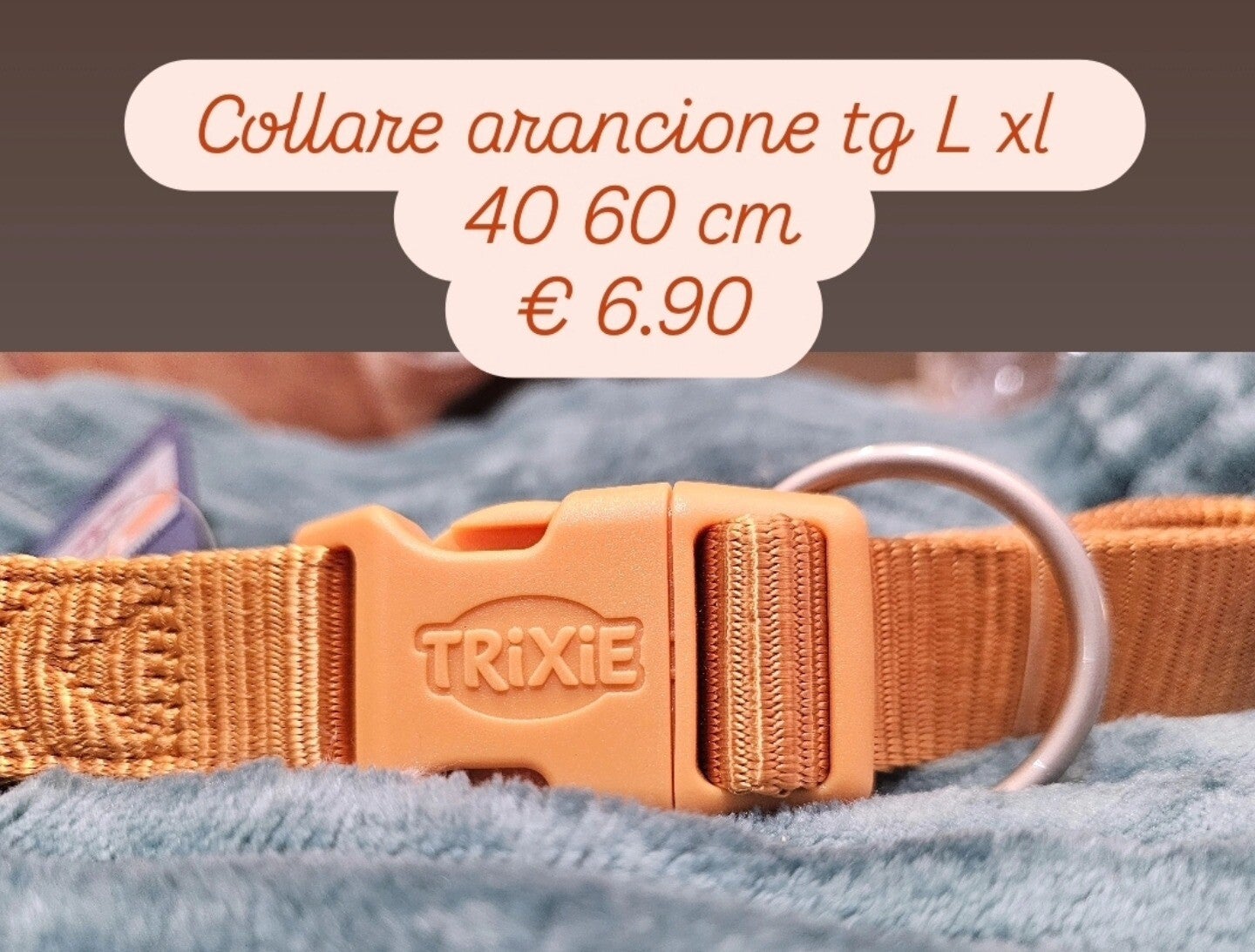 Collare Arancione tg L Xl ( 40 -60 cm)
