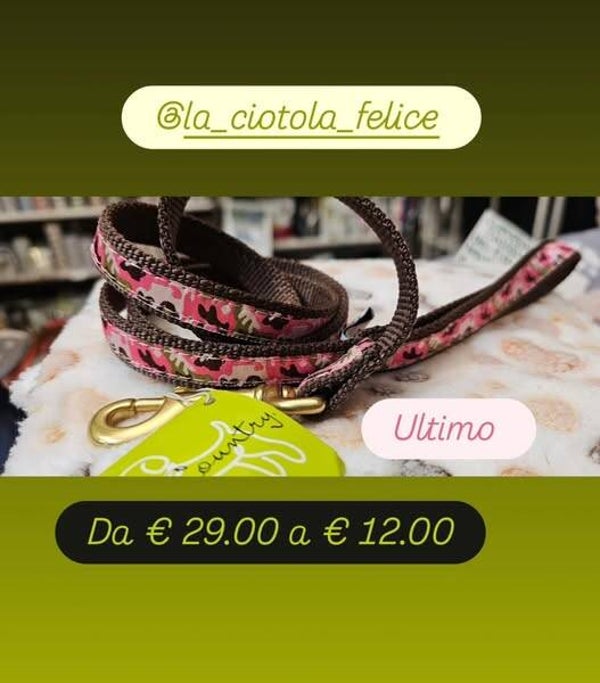 Guinzaglio tg s up country last  minute Ultimo