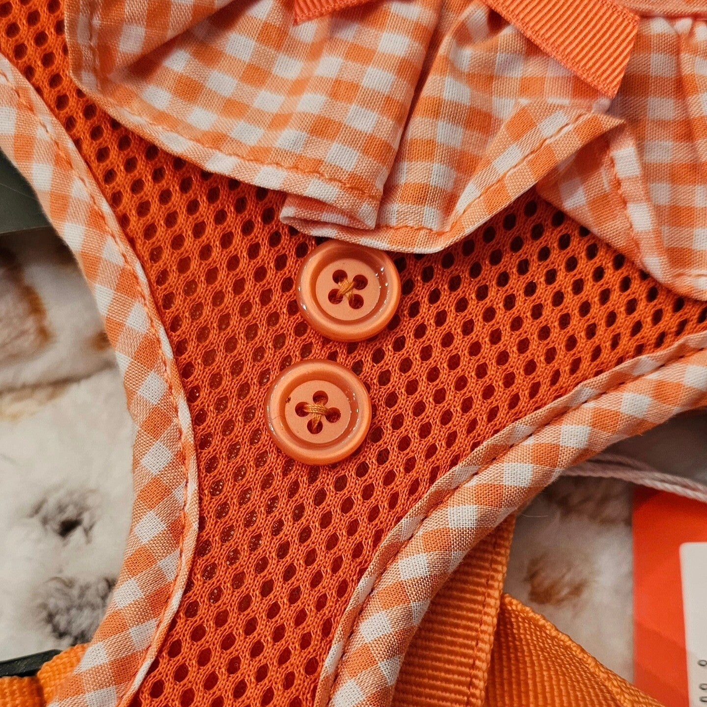 Pettorina arancione tg xs