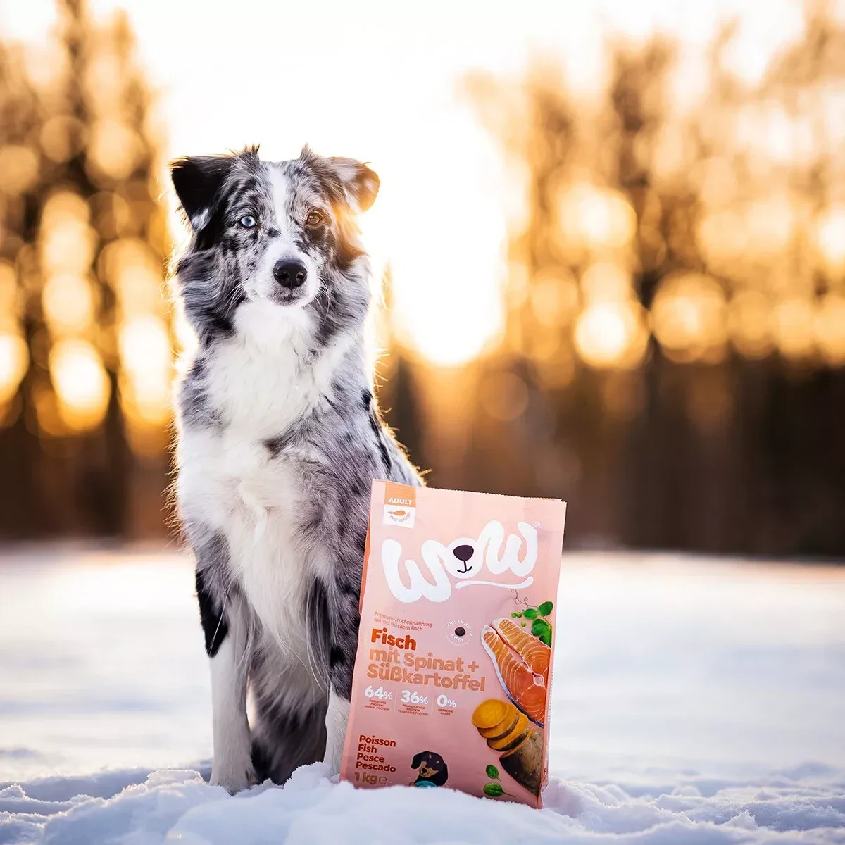 Cibo secco naturale Adulto pesce con spinaci e patate dolci 12kg