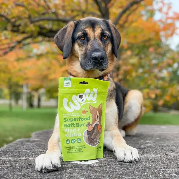 Snack bio naturale manzo