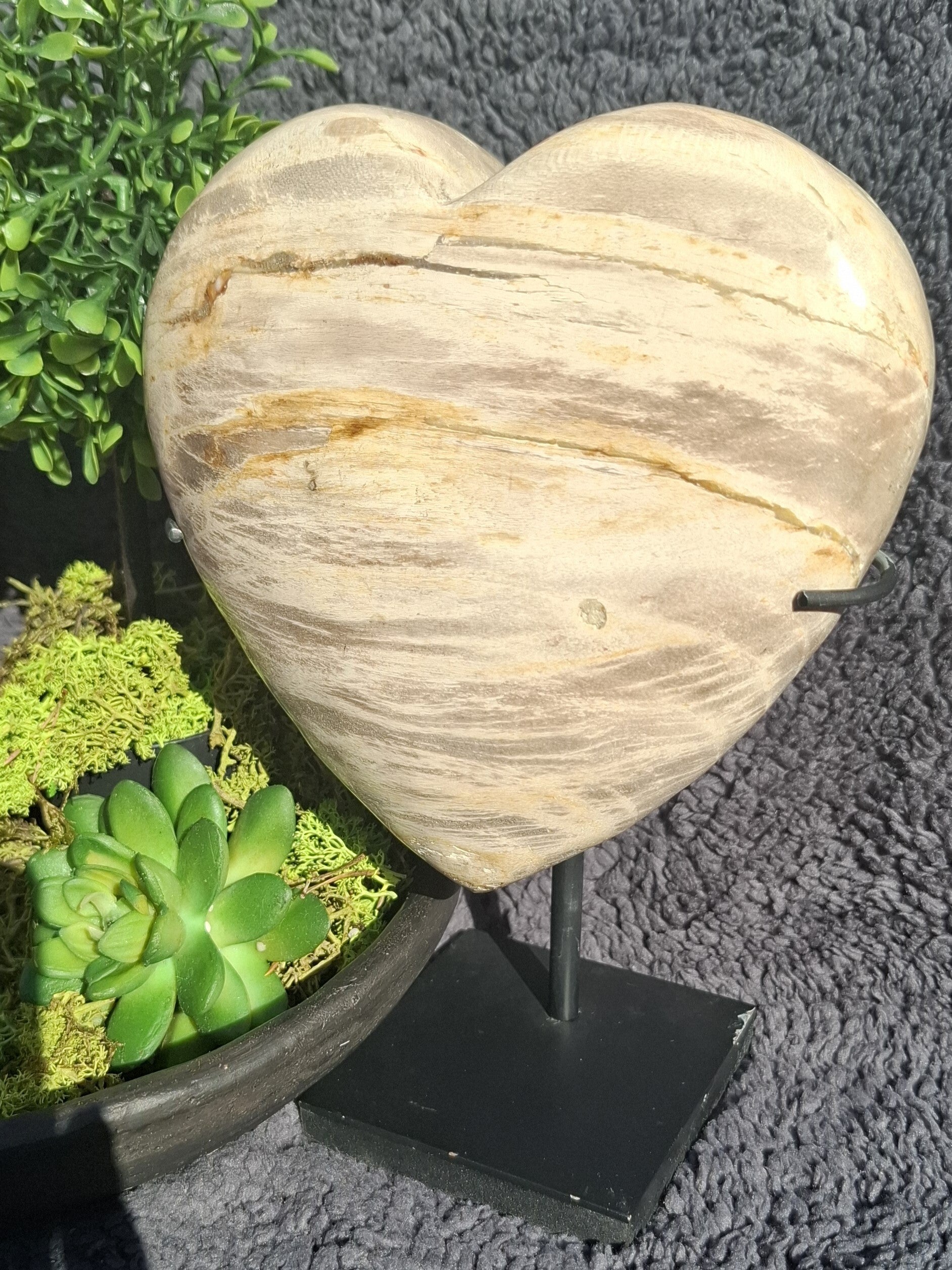 Versteend hout hart
