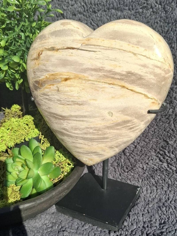Versteend hout hart