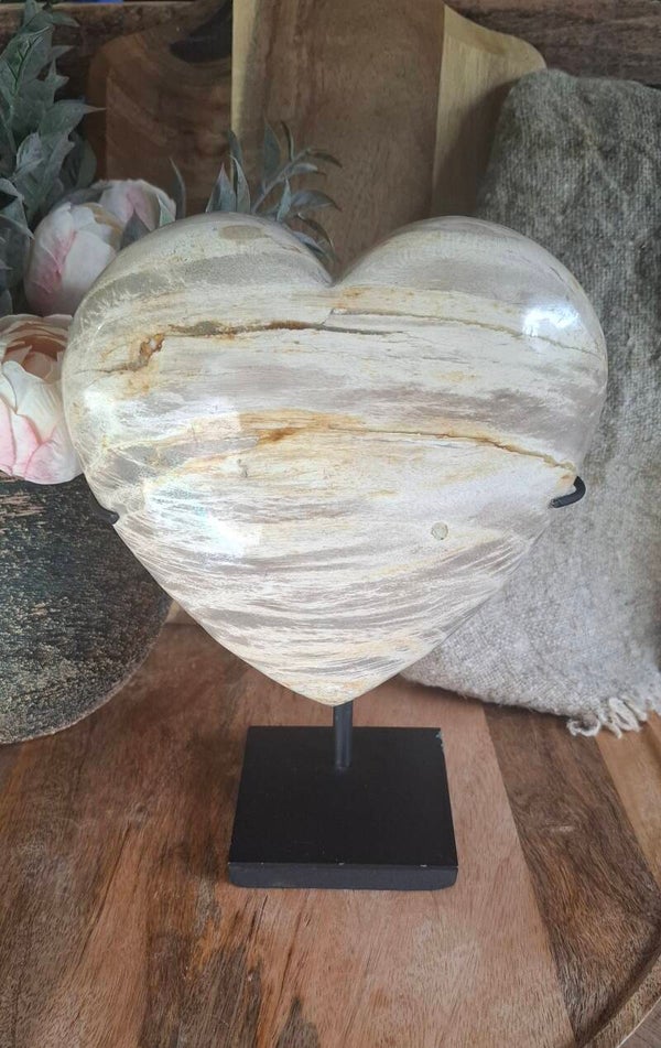 Versteend hout hart