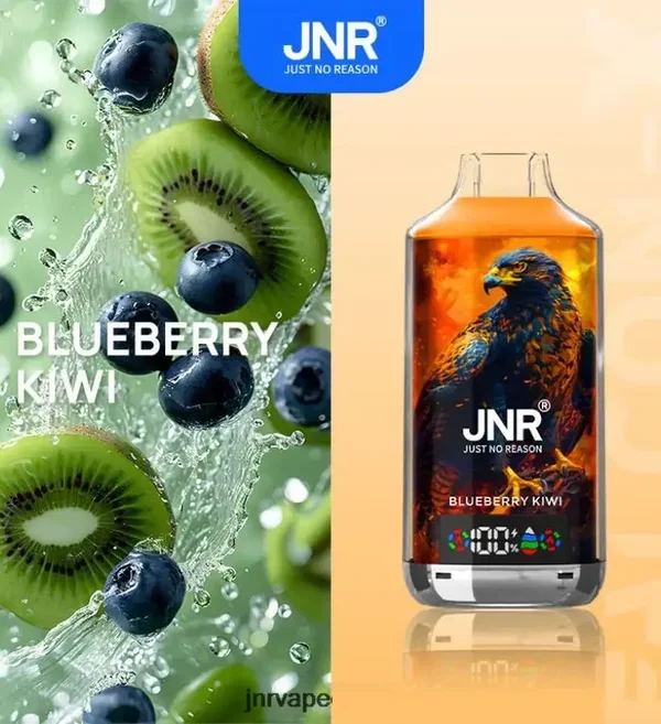 Puff Jnr Blueberry Kiwi