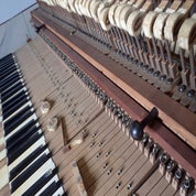 P9241677.jpeg