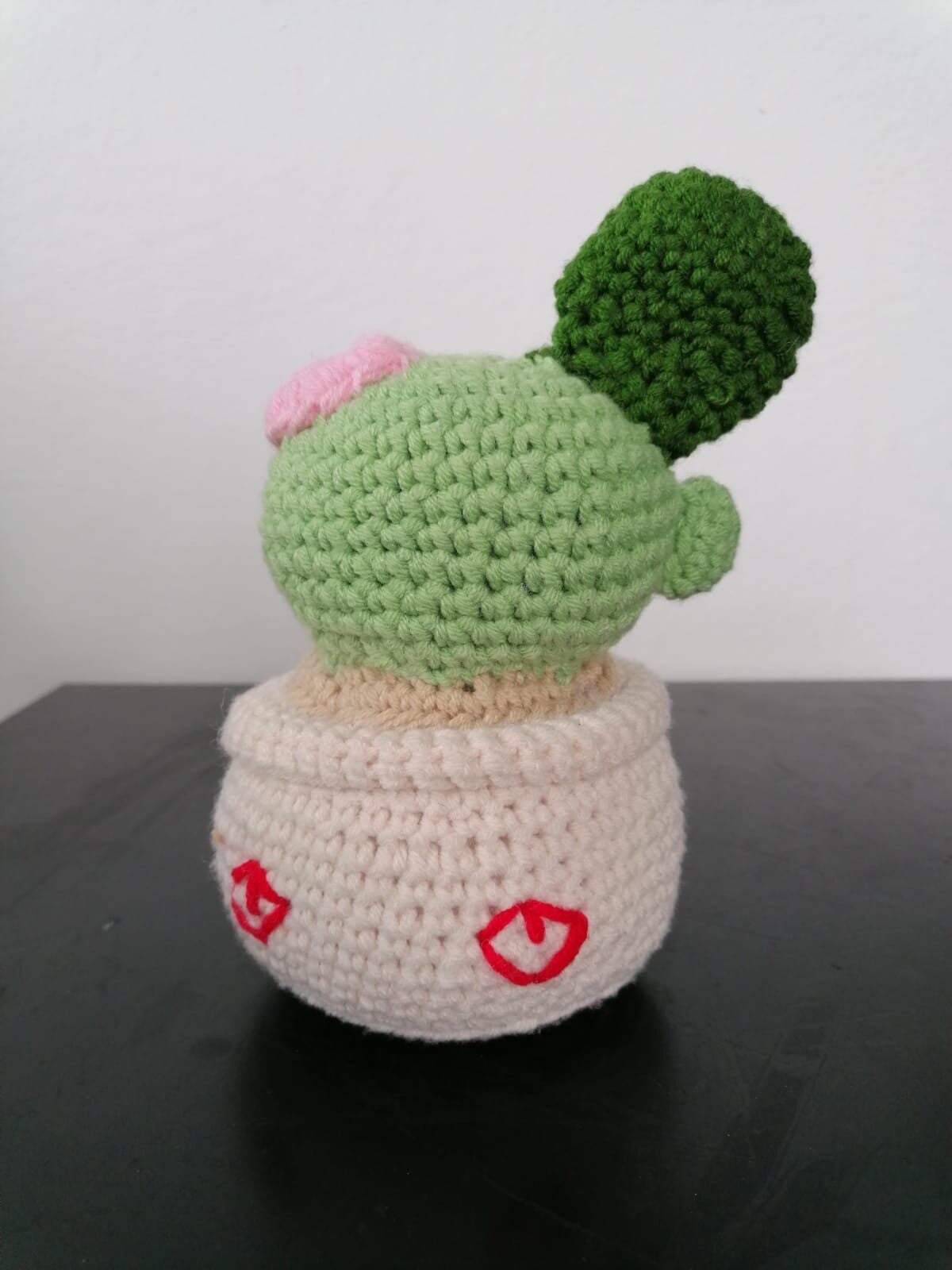 Petit pot de cactus