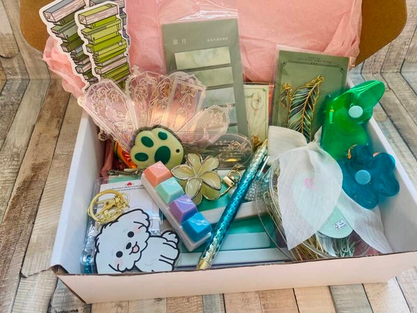 Bookish Stationery Mystery Box – Luxe Verrassingsbox voor Boekenliefhebbers