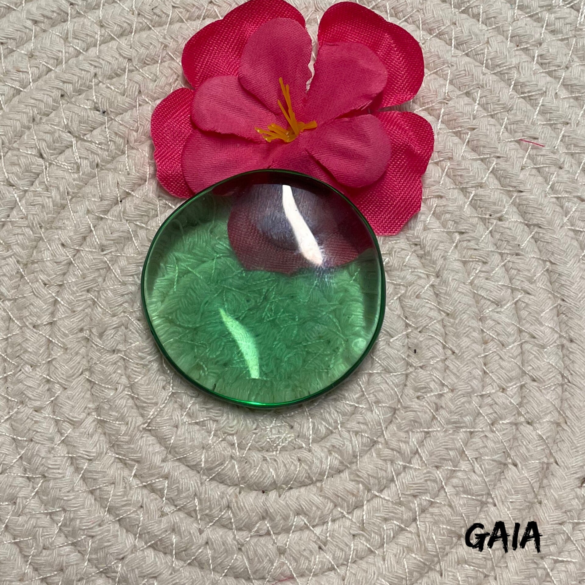 Gaia Steen