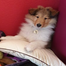 20220118_194932.jpg