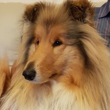 belle-4.jpg