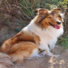 willowsitting-2.jpg