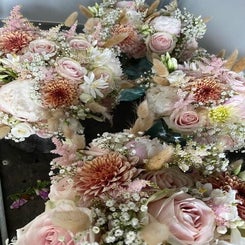 image12-standard.jpg