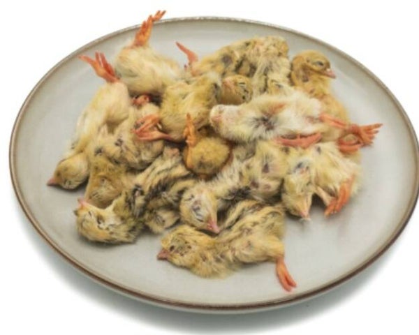 Eendagskwartels 500gram