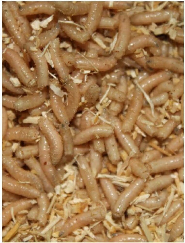 maden   2 liter  ongeveer 2 kg