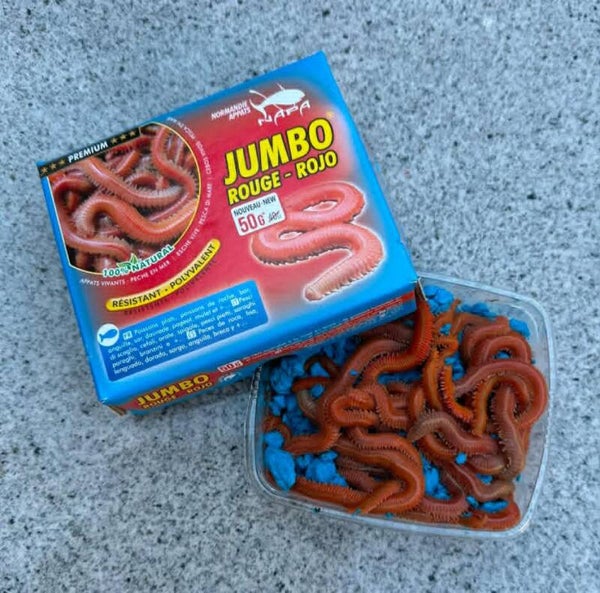 jumbo  zagers rode