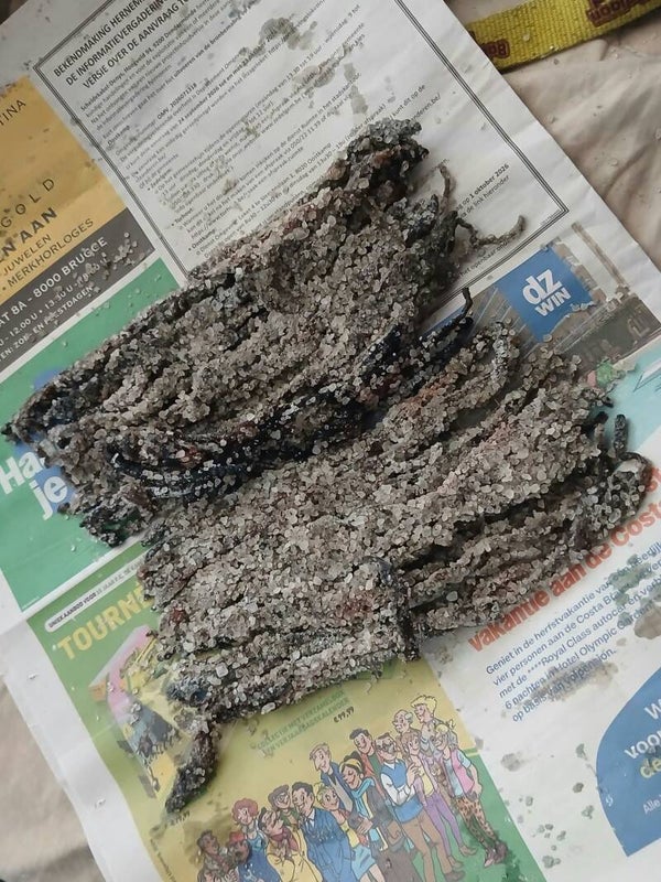 250 gr vers ingezoute zeepieren