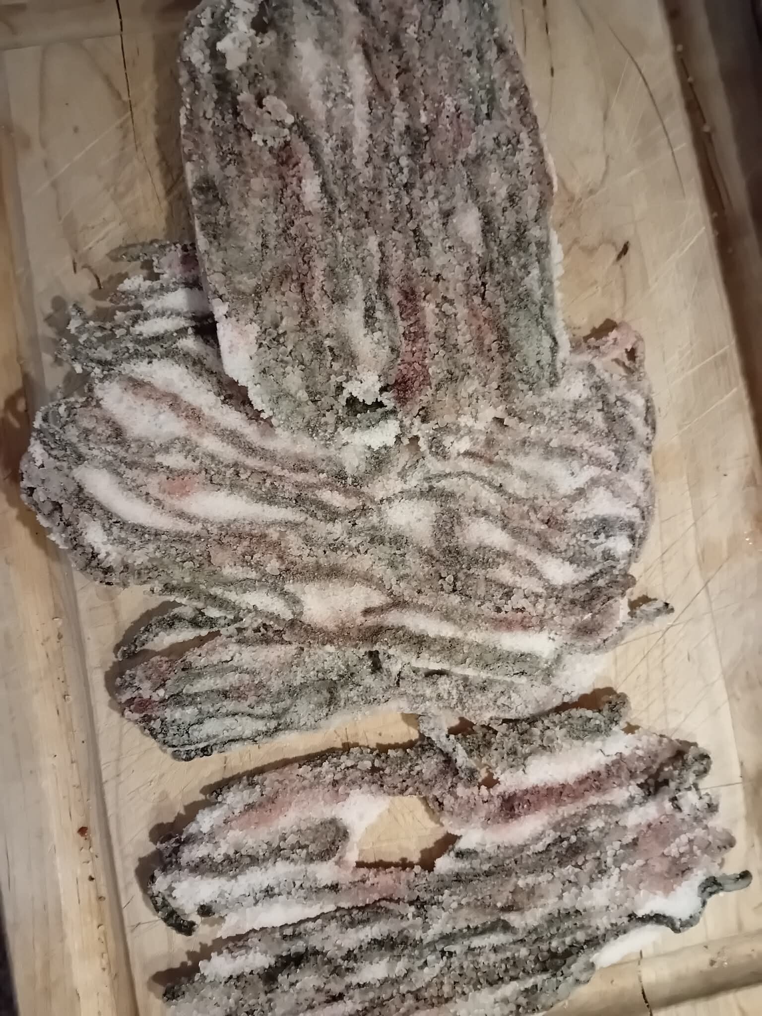 vers ingezoute zeepieren