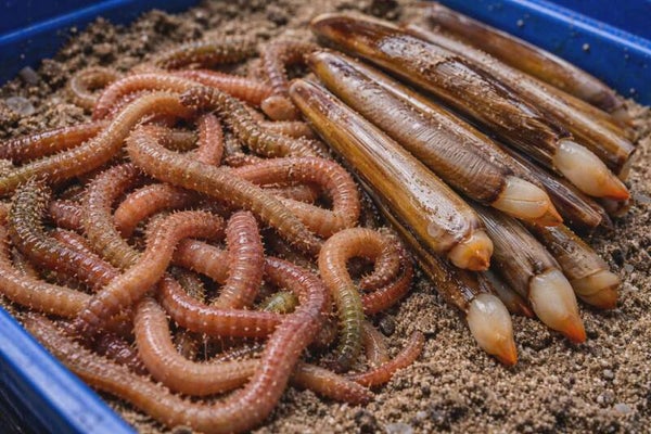 combo power 500gram + 500 gram mesheften