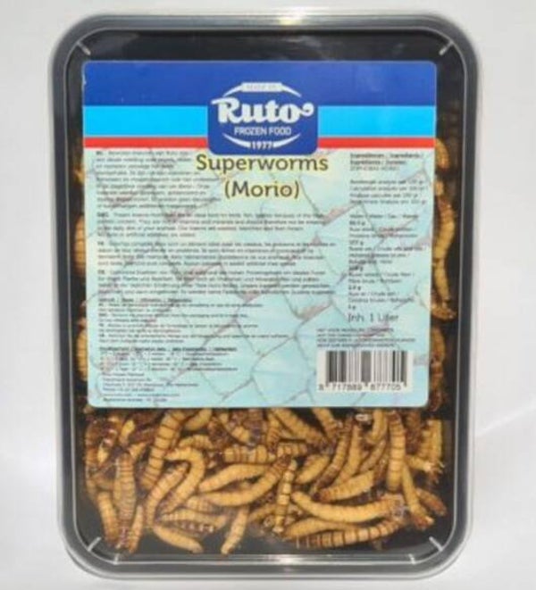 morio superworm  verpakt per 1 liter