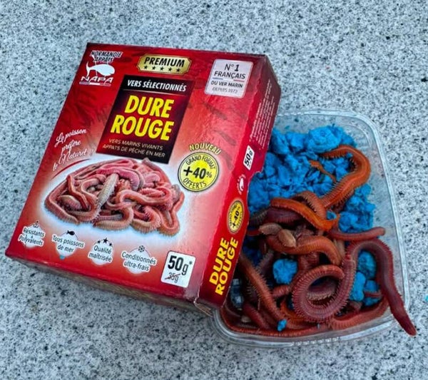 dure rouge kleine zagertjes beschikbaar vanaf 30/7
