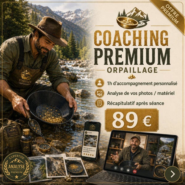 Coaching Orpaillage Premium – 1h d’accompagnement + analyse personnalisée