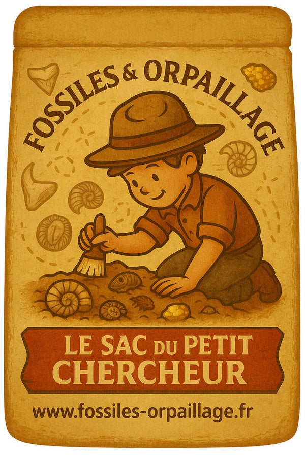 ✨ Paydirt Or - “Chasseur d’Or en Herbe”