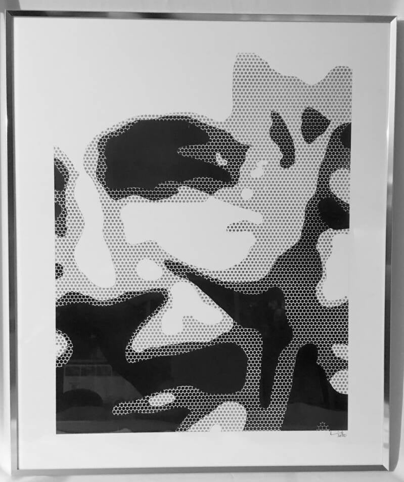 portrait-airbrush-tontrennung-bild-gespr-ht-fotovorlage-auftragsportrait-kunst-auftrag-geschenk-art-punkte-popart-schwarz-weiss-farbig-fgs-selbstportrait-standard.jpg