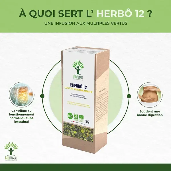 Infusion Herbô 12 – Verveine & Menthe Poivrée