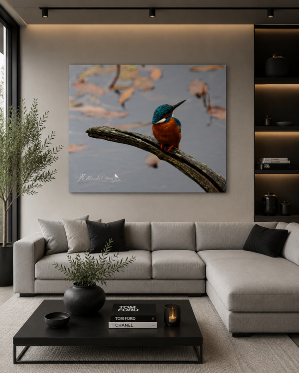 aluminium paneel IJsvogel