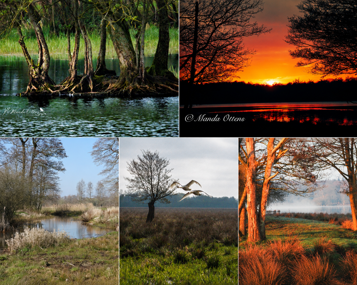 Kaartenset landschap