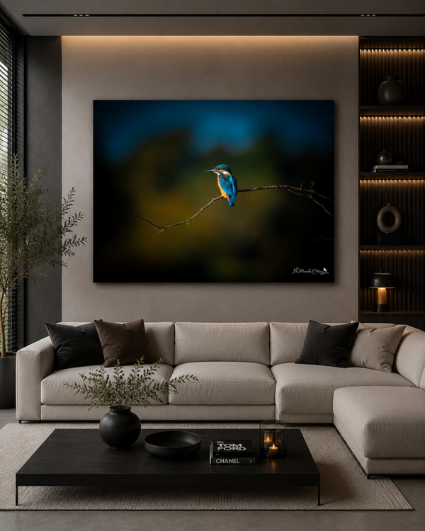 Aluminium paneel ijsvogel 2