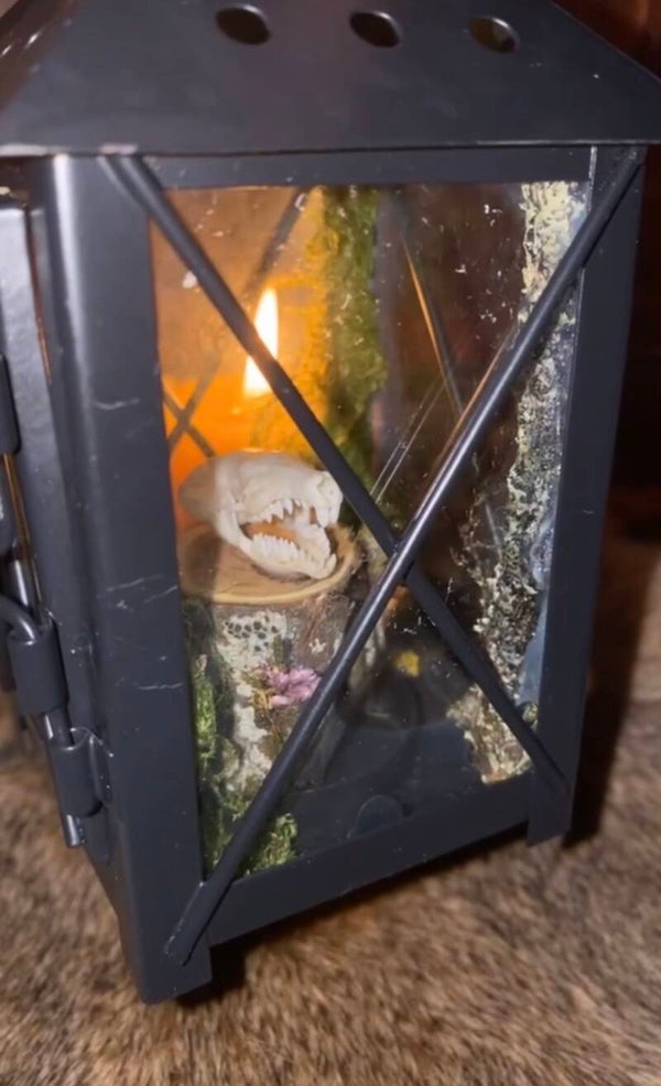 Keeper of the Hollow