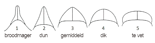 Overzicht van de Body Condition Score (BCS) bij alpaca’s, van ondergewicht tot overgewicht, weergegeven op alpaca vacht