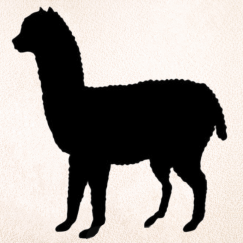 Zwart silhouet van een alpaca tegen een lichte achtergrond