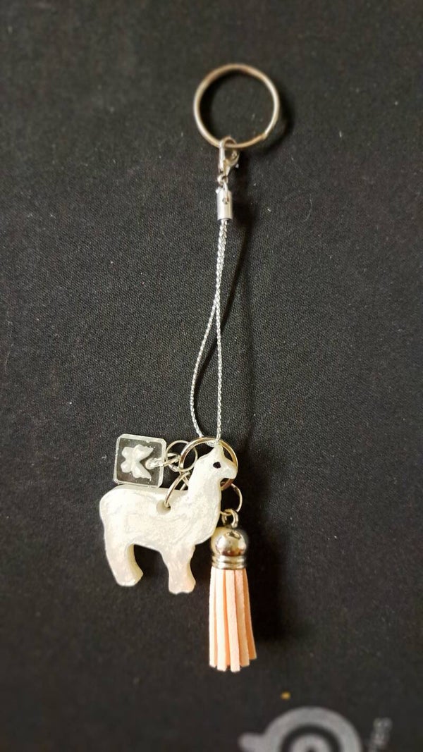 sleutelhanger - porte-clés - keychain