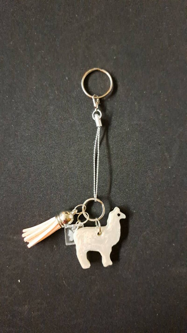 sleutelhanger - porte-clés - keychain