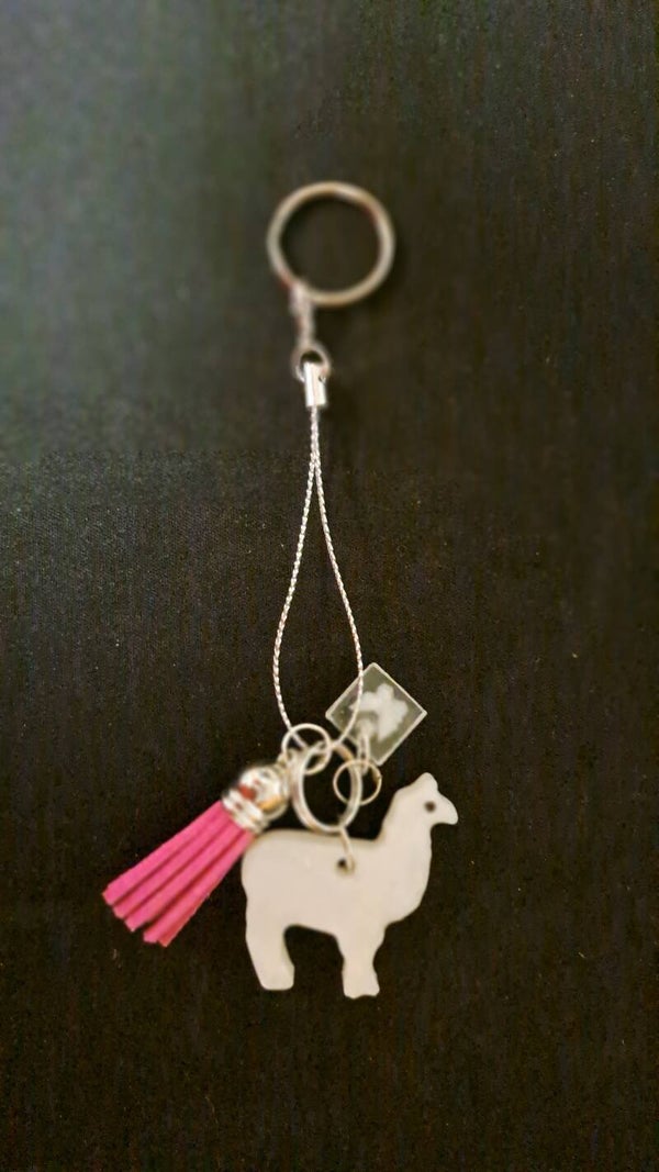 sleutelhanger - porte-clés - keychain