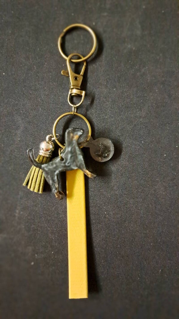 sleutelhanger - porte-clés - keychain