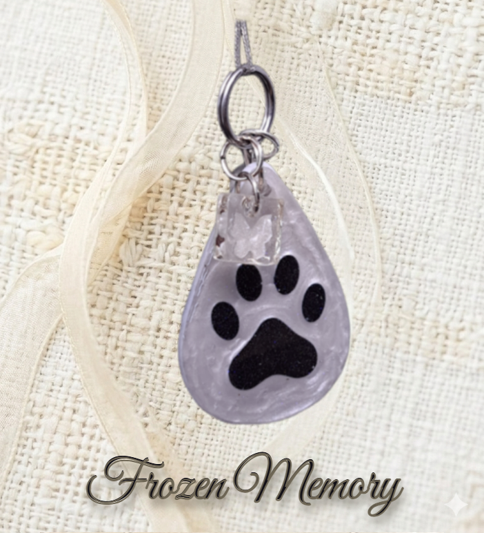 Frozen Memory