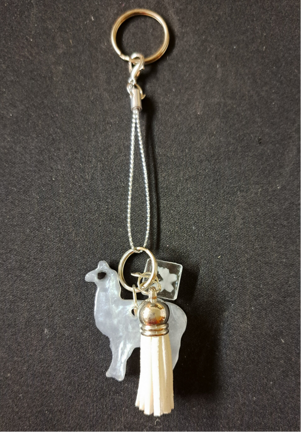 sleutelhanger - porte-clés - keychain