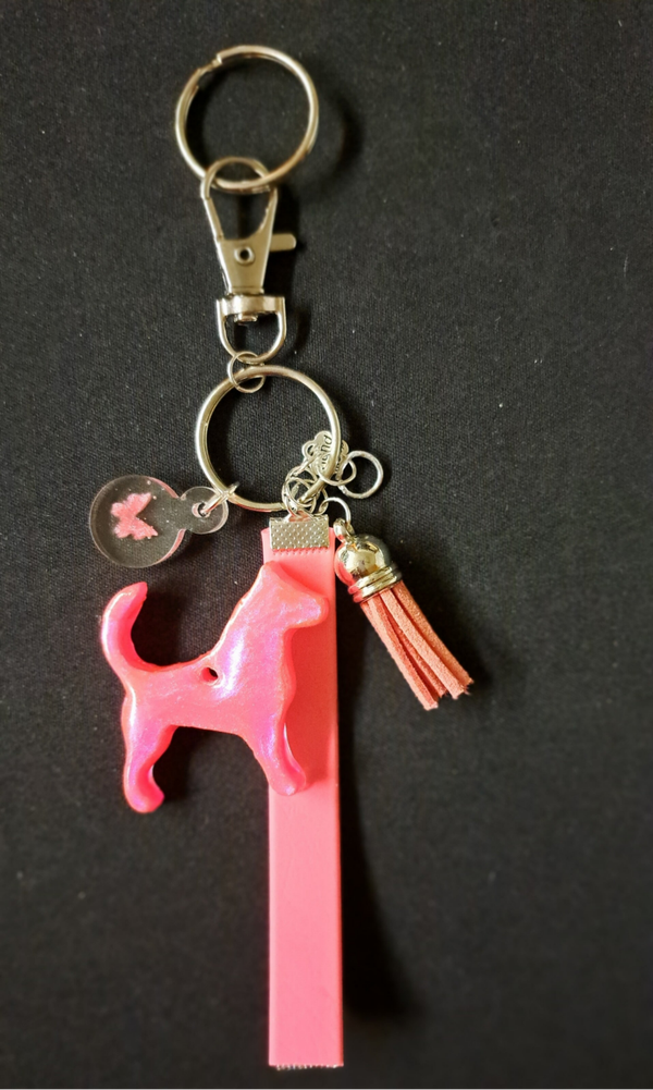 sleutelhanger - porte-clés - keychain