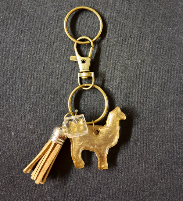 sleutelhanger - porte-clés - keychain