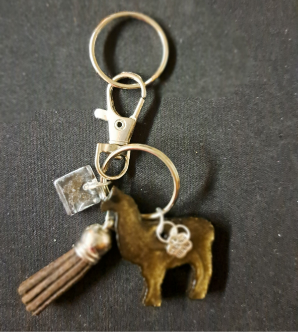 sleutelhanger - porte-clés - keychain