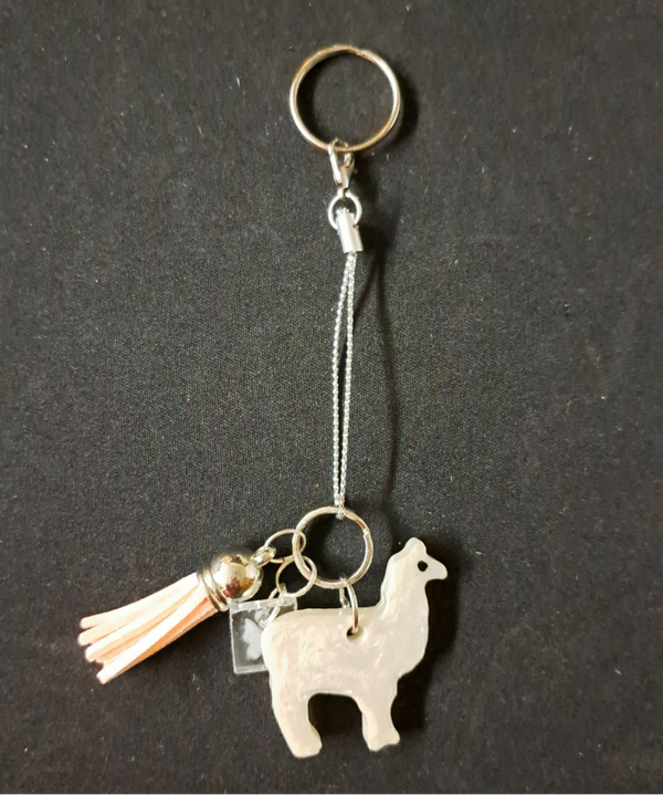sleutelhanger - porte-clés - keychain
