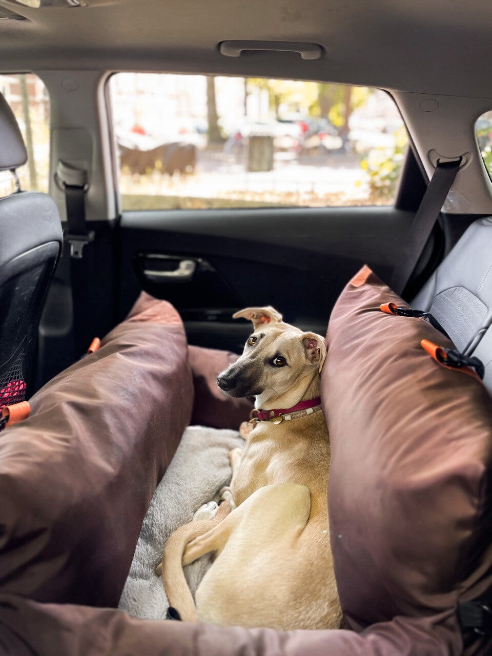 Large Dog Car Seat XL Big Travel Bed L'élianne