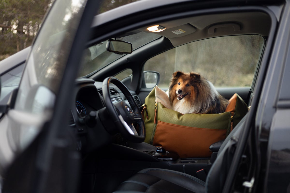 Designer Dog Car Seat Luxury Dog Travel Bed L'élianne
