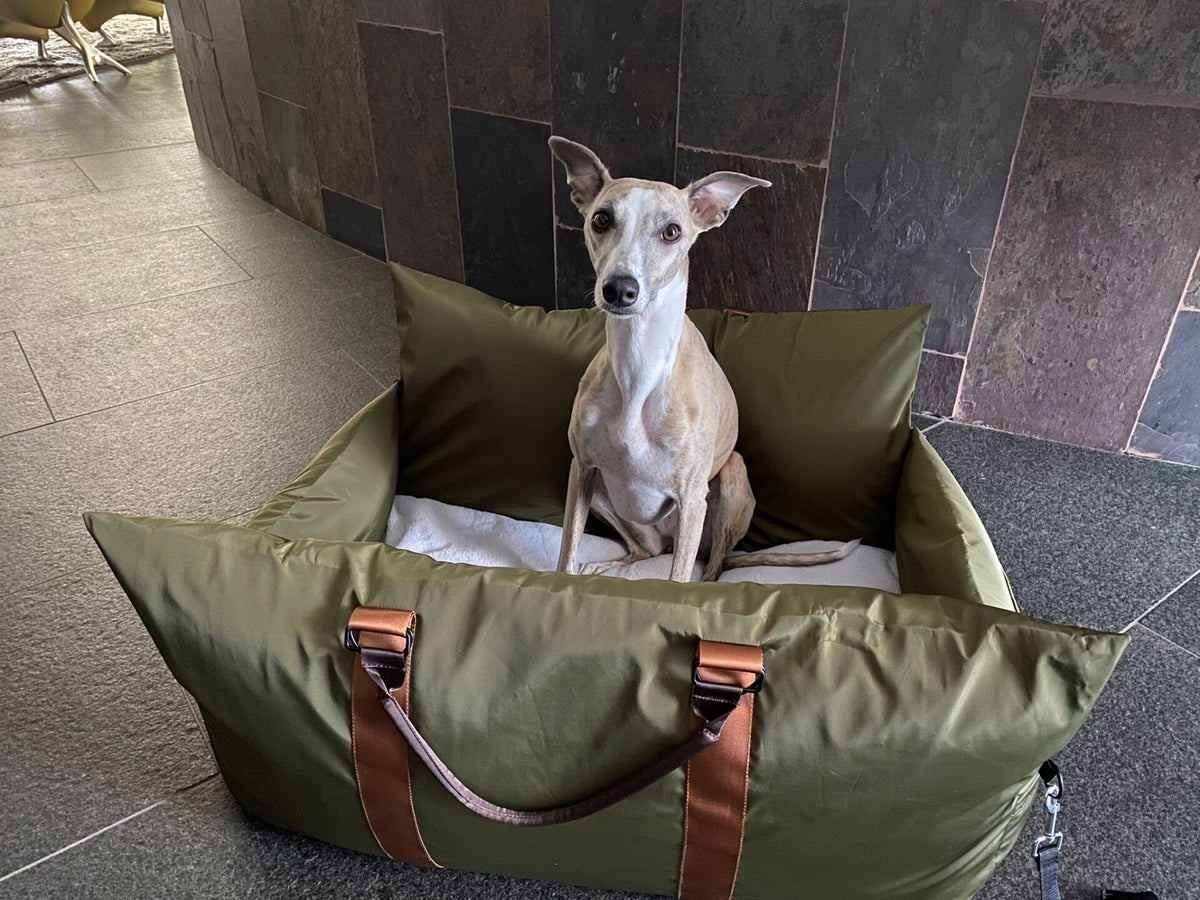 Large Dog Car Seat XL Big Travel Bed L'élianne