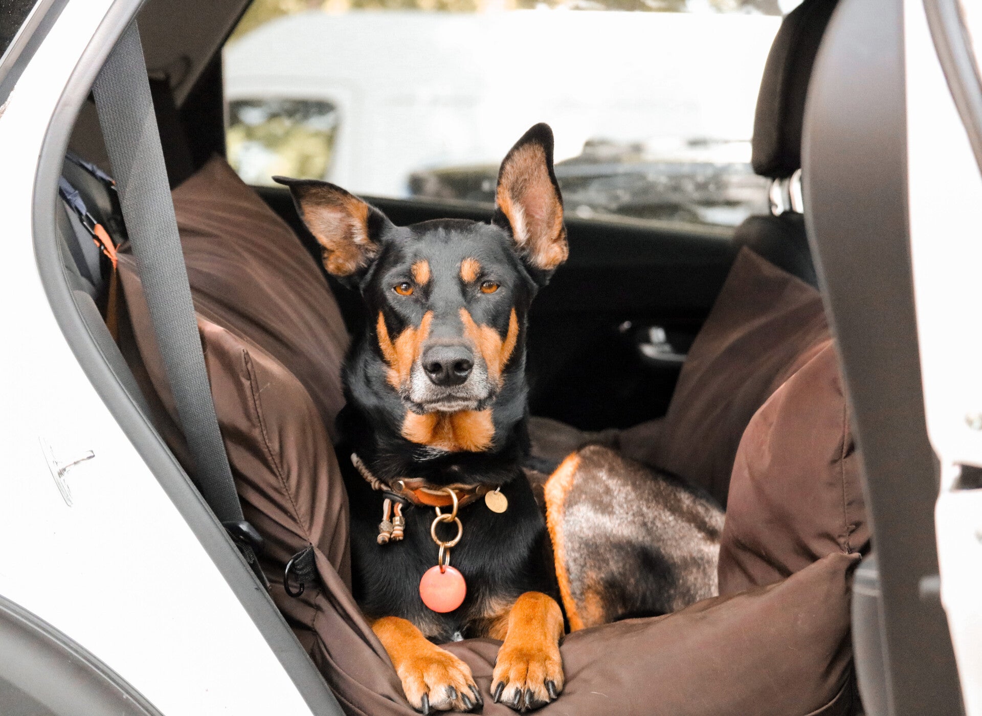 Large Dog Car Seat XL Big Travel Bed L'élianne