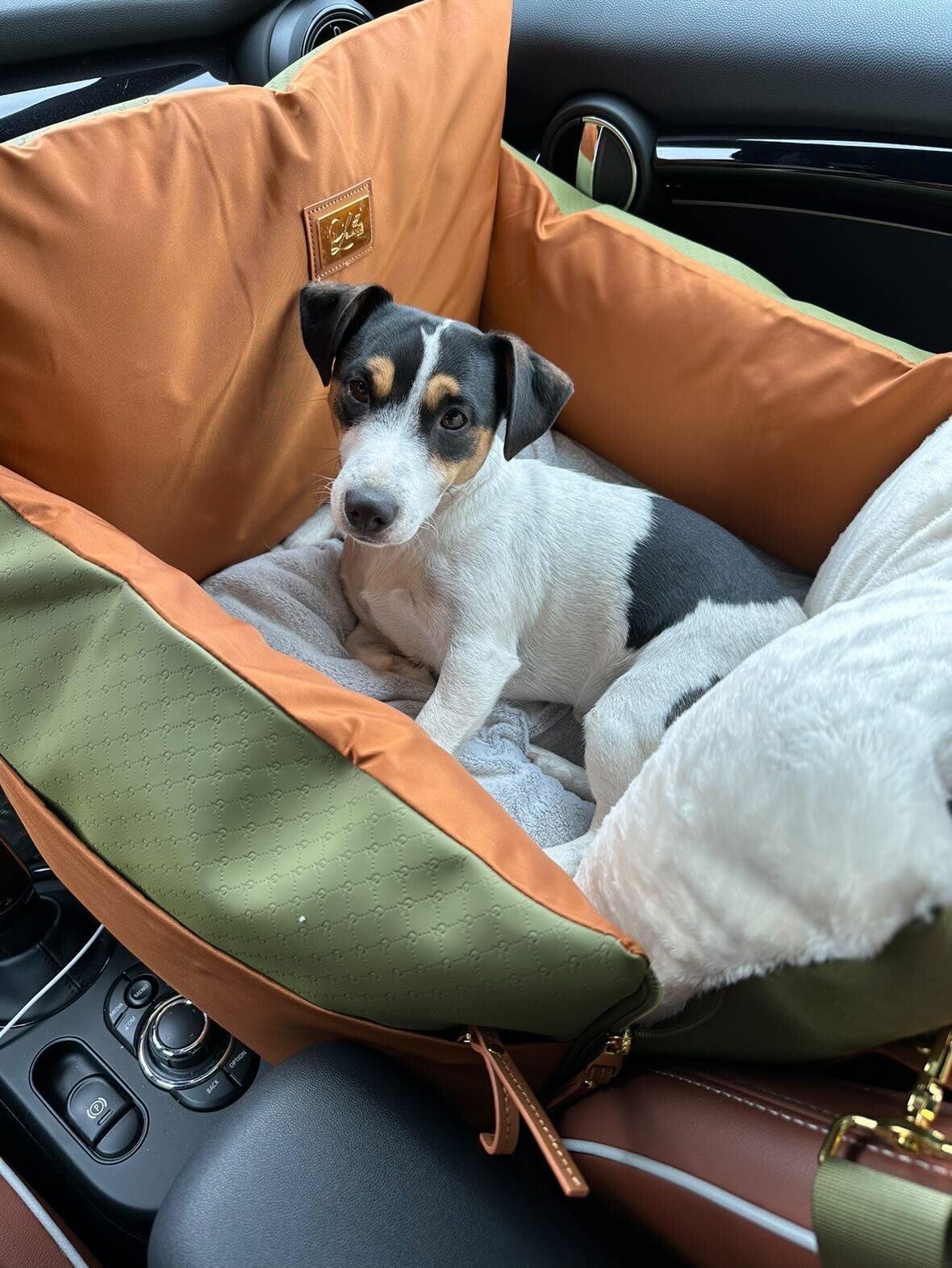 dog car seat large breed